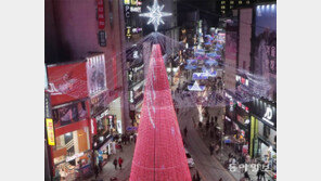 올 크리스마스엔 부산 ‘트리 축제’ 보러 가자!