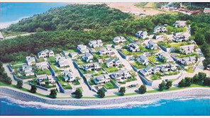 오션힐스, 대부도 바다조망 전원주택지 外