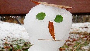 [고양이 눈]꼬마 눈사람