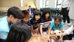 국민 60% “동물교감치유 가치 높아…이용 의향”