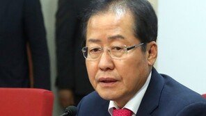 홍준표 “김정은 답방? 경제폭망 뒤덮는 이벤트”