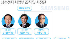 ‘반도체의 힘’ 삼성전자, 김기남 부회장 승진…사장단은 유임