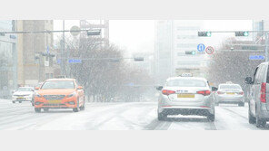 ‘겨울철 폭설’ 최다 민원은 “도로 위 얼음 제거해주세요”