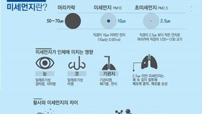 겨울 황사 시대 대비한 공기청정기 구매가이드