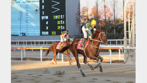 9일 대망의 그랑프리 레이스…2018년 우승컵의 주인공은?