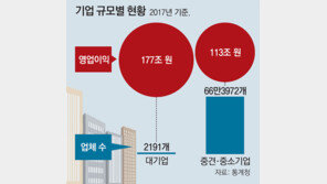 0.3% 대기업이 전체 영업익 61% 차지