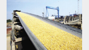 미국 10월 무역수지 적자 555억달러…10년래 최대