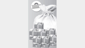 일자리 6000억-남북경협 1000억 삭감… 공무원 증원 3000명 줄여