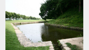 “월성의 딴 이름 재성은 ‘해자 있는 성’”