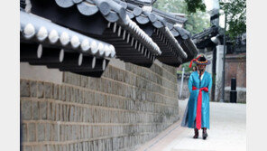 ‘덕수궁 돌담길’ 막힘없이 걷는다…7일 전 구간 개방
