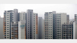 집 산적 있는 신혼부부, 특별공급 제외…추첨제 75% 이상 무주택자에 1순위 공급