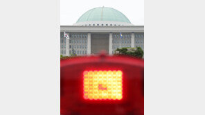 “대통령 등 다 때려잡아야” 알몸으로 국회 뛰어다닌 60대