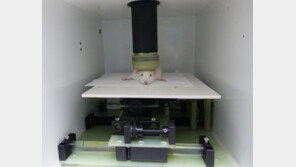 실험동물 재활용 길 열려…식·의약 연구개발 촉진 기대