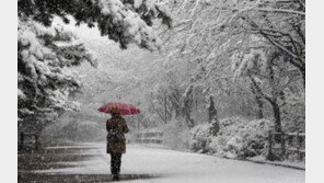 대설에 올 겨울 최강 한파…전북 정읍·부안·고창엔 ‘대설주의보’