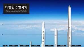 발사체부터 정지궤도위성까지…한국 우주개발 30년, 어디까지 왔나