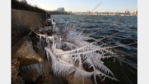 한파 확대에 눈 쏟아진 ‘대설’…주말 영하16도 “더 춥다”