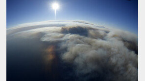 2억5200만년 전 ‘거대한 멸종’의 원인은 지구온난화