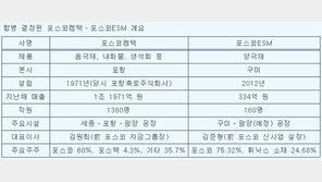포스코켐텍-포스코ESM 합병…2차 전지 소재 사업 시너지 기대