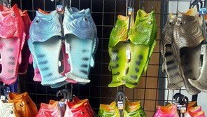 [고양이 눈]슬리퍼