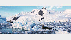 행운과 불운이 눈과 얼음산에 덮인 곳… 의지의 땅이 유혹하다