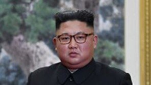 靑 “‘김정은 13일 서울 답방 유력’ 보도, 사실 아니야…北 어떠한 통보 없어”