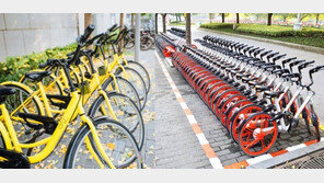 내년 봄 전기 자전거도 ‘공유’…순항할까?