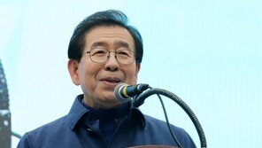 서울시 도시계획 ‘지각변동’ 연내 가시화…어떻게 바뀔까