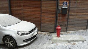 시민 신고로 버스정류소·소화전 불법주정차 잡는다