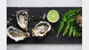 그랜드 하얏트 서울 갤러리, ‘석화 & 캐비아' 프로모션 선봬