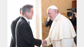 “교황 내년 일정에 北 방문계획 없어”