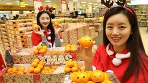 ‘크리스마스 감귤’ 선물하세요