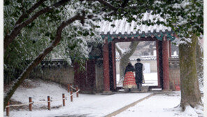 11일 전국 곳곳 대설주의보