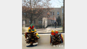 [고양이 눈]변신