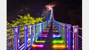 ‘원주 소금산 출렁다리’ 동계 야간개장…22일부터