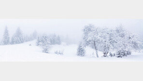 역사, 휴양, 축제… 온 가족 행복 쌓는 ‘힐링 충청’