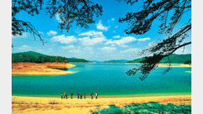 성심당에서 튀소-부추빵 먹고… 한밭수목원서 도심 속 힐링 