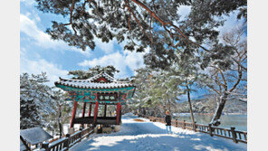 이름 값 톡톡… ‘제베리아’로 초대합니다 