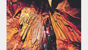 평균기온 15도… 아늑한 동굴에서 하는 자연공부 