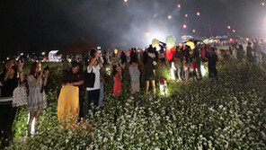 41만 명 찾은 평창효석문화제 ‘경제효과 150억’