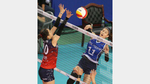 ‘8G 7승1패’ IBK기업은행, 저력이 꿈틀댄다