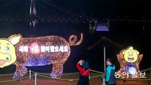 불 밝힌 ‘황금돼지 포토존’