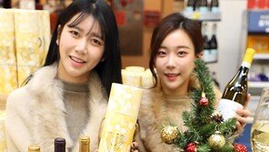 이탈리아 와인 등 27종 할인판매