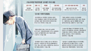 “살아남는 소수만을 위한 법… 강사도 대학도 학생도 힘들어져”