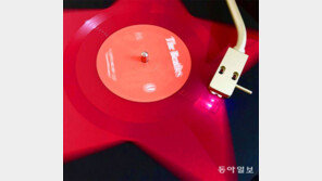 [고양이 눈]스타