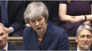 테리사 메이 영국 총리, 보수당 불신임투표서 승리