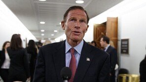 “화웨이 CFO 對中무역 도구 활용 안돼”…미 상원의원, 트럼프 비판