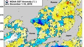 해수부, 13일 전국에 ‘저수온 관심단계’ 발령