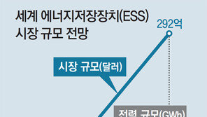 ESS 공공물량 대기업 입찰 제한… 외국계만 웃을라