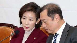 나경원 원내대표 “인적쇄신 지나치면 전투력 약화”… 한국당 ‘친박 물갈이’ 제동 걸리나