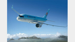 “출국장 입장 후 탑승 취소”…대한항공 ‘위약금 20만원’ 추가 부과